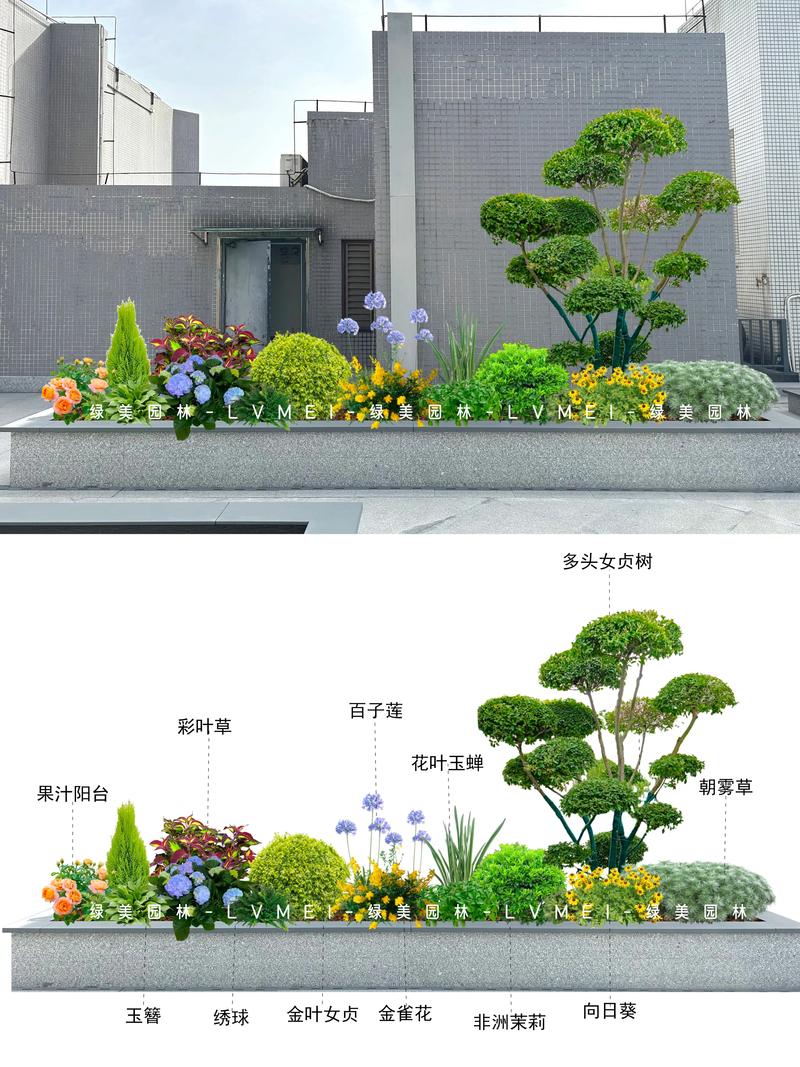 成都园林景观设计：城市绿肺的呼吸之道